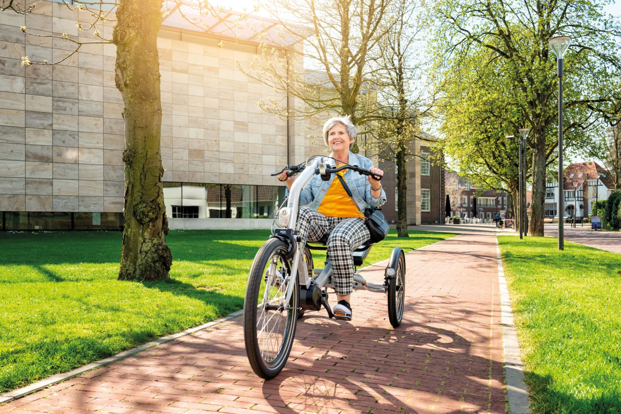 damenfahrrad mit tiefem einstieg